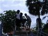 boys in climbing frame