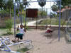 children on swings