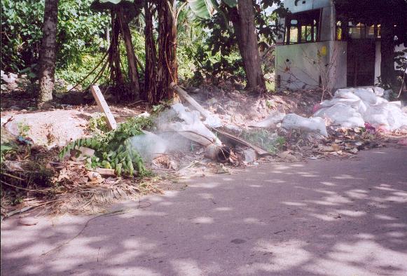 burning waste