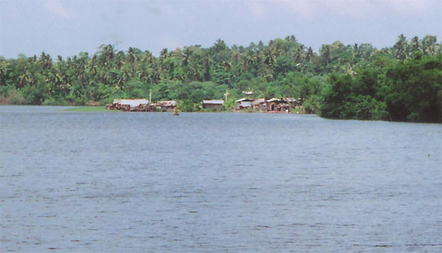 Community from a distance
