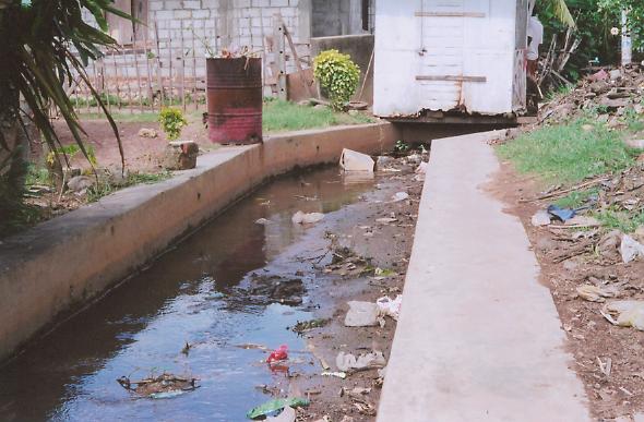 Polluted drainage canal
