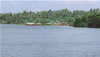 Community from a distance